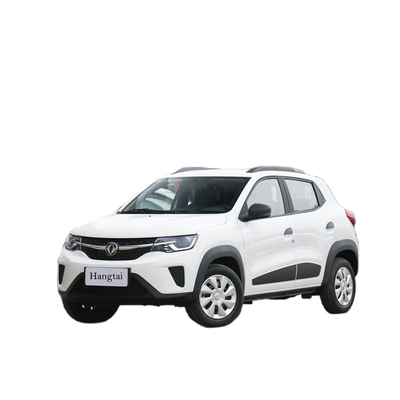 DONGFENG 4 Zuivere Elektrische Auto's EX1 45Hp Max Speed 100Km/h van Seater