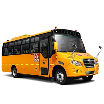 De Busvervoer 7m van de studenten130hp Geel School 24 - 41 Zetelsdieselmotor